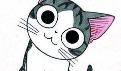 猫的动漫,动漫猫界的奇幻冒险之旅